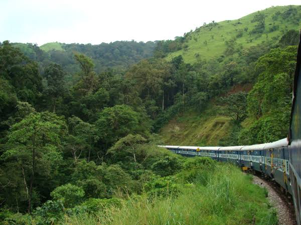 A train winding through the green Western Ghats